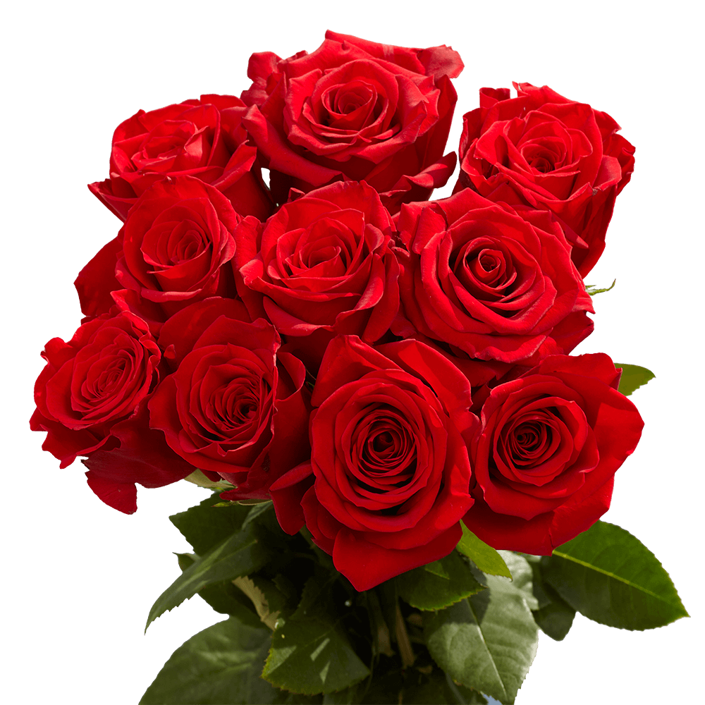 100 Assorted Red Roses- Beautiful Fresh Cut Flowers- Express Delivery - image 2 of 5