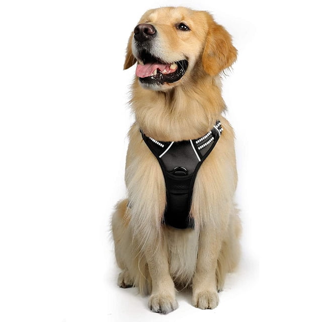 Rabbitgoo Arnés para Perros, Arnés para Mascotas Sin Tirones con 2 Clips para Correa, Chaleco Acolchado Suave Ajustable para Perros, Chaleco Oxford Reflectante para Mascotas sin Estrangulamiento con M