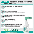 thumbnail image 2 of EcoSMART Insect Killer for Lawns and Landscapes, 32-Ounce (Hose End), 2 of 6