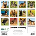 thumbnail image 2 of Willow Creek Press, Just German Shepherds 2025 Wall Calendar, 2 of 4