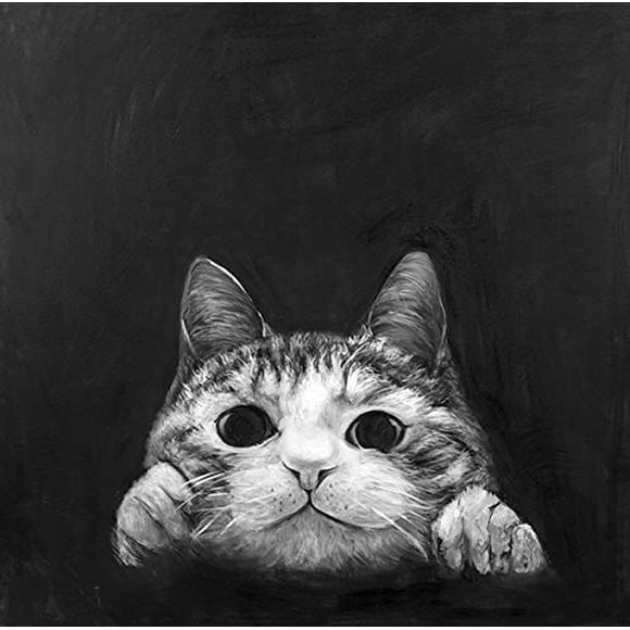 BEGIN DECO MAISON - HOME DECOR Curious Cat Wrapped Canvas, 24x24, Multicolor