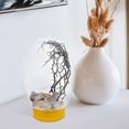 thumbnail image 2 of Small Fish Tank Desktop Fish Tank LED Fish Tank Desktop Aquarium for Home Decor, 2 of 8