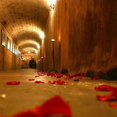 thumbnail image 4 of Artificial Petals 1000 PCS Dark-Red Silk Rose Petals for Romantic, 4 of 5