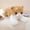 Orange, variant on 50Cm/19.68In New Cute Simulation Cat Plush Toy for Family Companion Sleep Pillow Soft Stuffed Animal Throw Pillow Simulation British Shorthair Cat Toys Gifts for Family And Friends (Not Animal Fur)