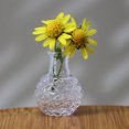 thumbnail image 3 of HEVIRGO Miniature Vase Transparent Decorative Glass Universal Dollhouse Flower Terrarium Pot for Entertainment, 3 of 10