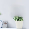 thumbnail image 6 of Tarmeek Wall Mounted Hydroponic Planter - Modern Minimalist White Container for Indoor Greenery, No Drill Installation, Living Room Wall Hanging Vessel for Pothos and Other Plants, 6 of 9