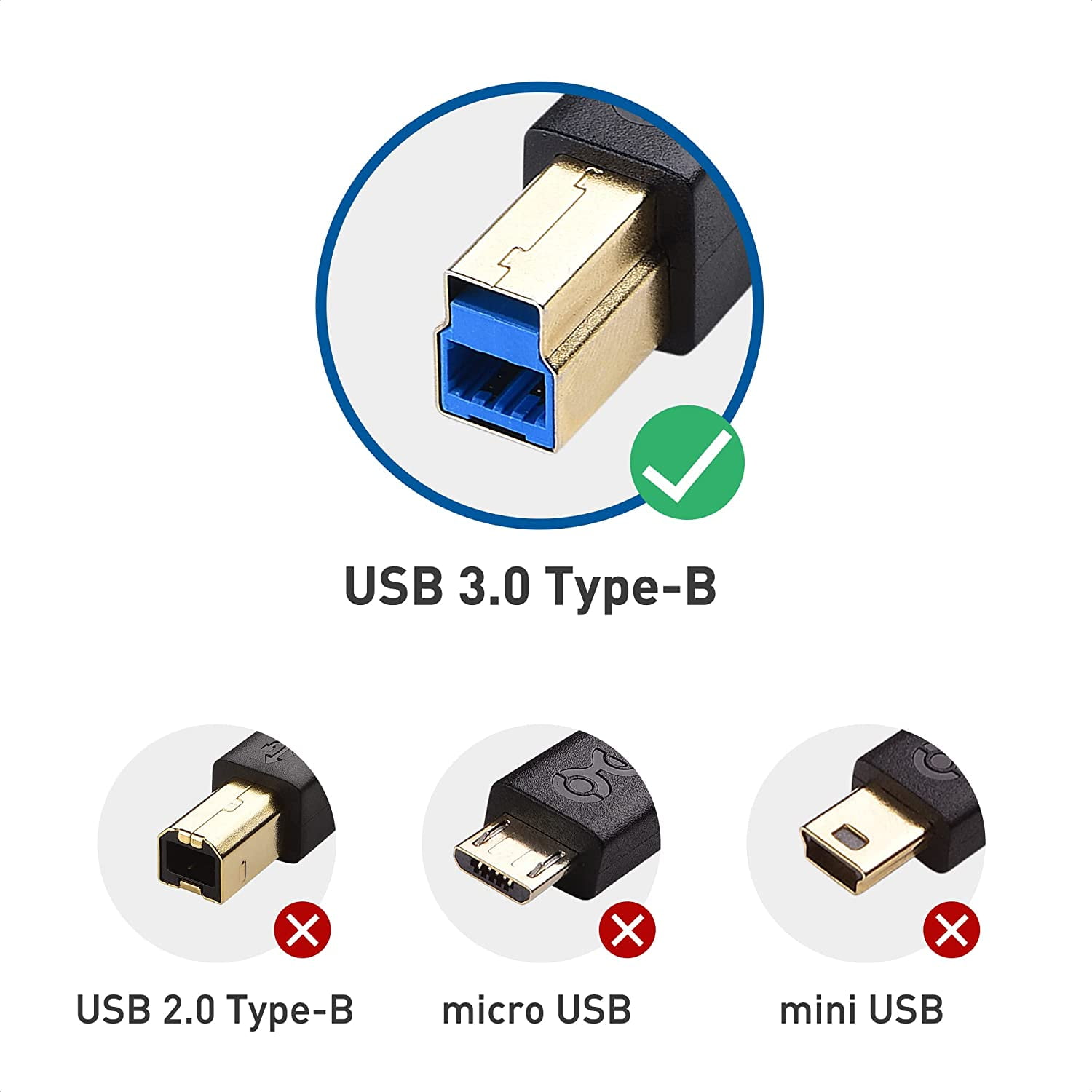 Zo veel Zoekmachinemarketing tyfoon Cable Matters Type-C USB 3.1 Type B Cable (USB-C/USB C USB B 3.0 / Type-C  USB 3.1 to USB B) in Black 6.6 Feet - Walmart.com