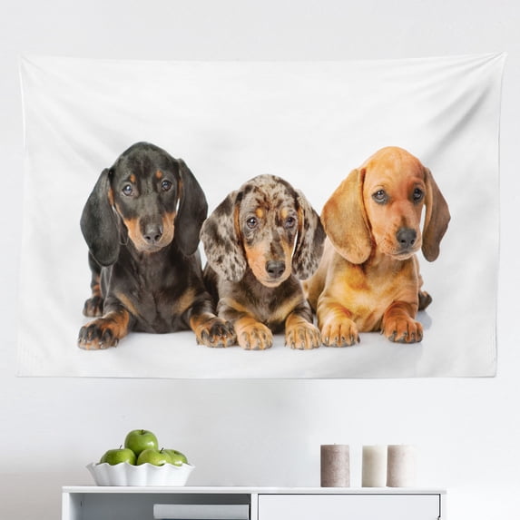 Dachshund Tapestry, Dog Lover Photo of Long Torso Breed Puppies Lying, Fabric Wall Hanging Decor for Bedroom Living Room Dorm, 2 Sizes, Dark Taupe Grey Taupe, by Ambesonne
