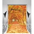 thumbnail image 2 of GreenDecor 5x7ft Fall Scenery Photography Autumn Backgrounds Artistic Backdrops Park Trees Path Leaves Kid Baby Toddler Girl Adult Younger Boy Portrait Outdoor Photo Shoot Studio Props Video, 2 of 4