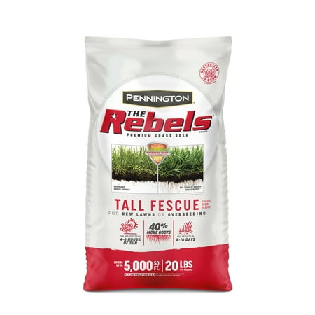 Pennington Rebels Tall Fescue Grass Seed  for Sun to Partial Shade  20 lb.