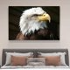 thumbnail image 4 of Póster de lienzo de águila americana de raptor, decoración de dormitorio, paisaje deportivo, decoración de oficina, regalo, estilo marco, 20 x 30 cm, 4 of 8