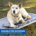 thumbnail image 4 of Cama para mascotas Coolaroo Original Elevated, extra grande, verde, 4 of 6