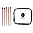 thumbnail image 5 of Iris Cosmetics Luminous Eye Brush Set (5 Pcs) - Golden, 5 of 5