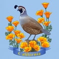 thumbnail image 3 of CafePress - California Quail And Golden Poppy T Shirt - Light T-Shirt - CP, 3 of 4
