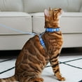 thumbnail image 7 of azuza Cat Harness and Leash Set for Safe Walking and Travel, Cat Harness Escape Proof Lightweight Size Adjustable Soft Material for Small Large Cats, Blue Plaid, 7 of 7
