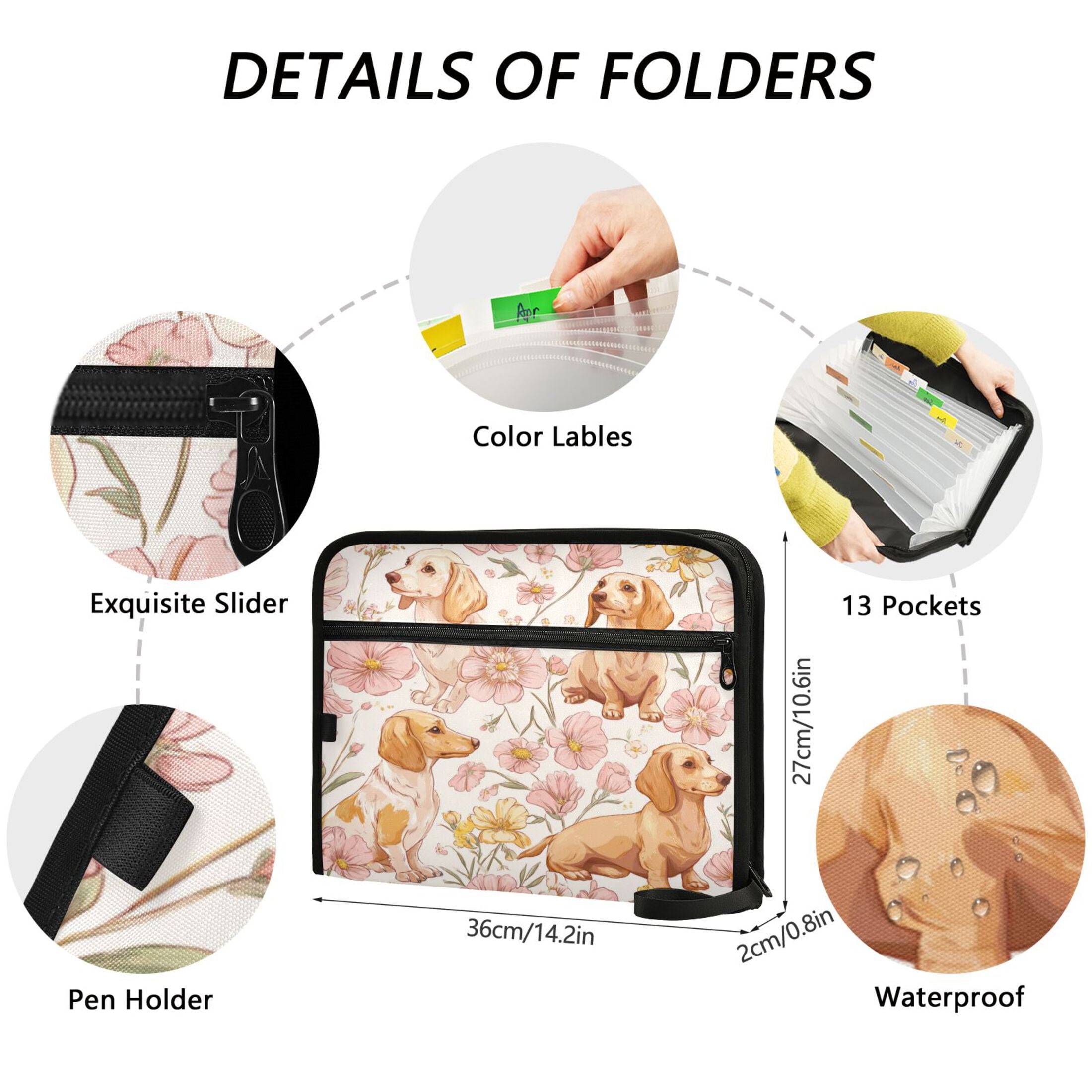 Folder Waterproof A4 Size File Folder Home Work Office Categorized Storage File Manager 13 Individual Pockets Lovely Cartoon Dachshund Dogs