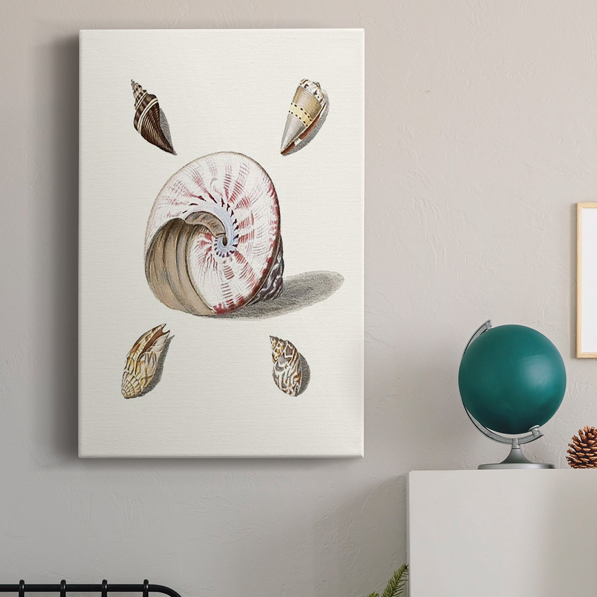 Pastel Knorr Shells II Premium Gallery Wrapped Canvas - Ready to Hang