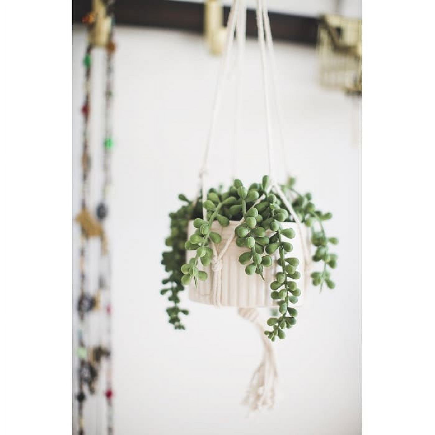 Flora Bunda Faux String of Pearl in 4" Macrame Hanging Ceramic Planter Donkey Tails Lover's Tear
