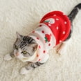 thumbnail image 5 of Suéter Lindo Para Gatos, Ropa Cálida De Invierno Para Gatos, Suéter Para Mascotas, Camisa De Punto, Ropa Para Gatitos, Traje Para Gatos Speravity AP007762-15, 5 of 5