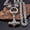 Silver + Gold, variant on Never Fade Gold Color Odin Wolf Necklace Men Norse Thor Hammer Stainless Steel Self-defense Anchor Pendant Amulet Viking Jewelry