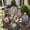 Brown, variant on SERWALL Patio Dining Chair Set of 2,HDPE Outdoor Dining Chairs, White