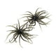 thumbnail image 1 of 2 piezas de pesca atrae a la pesca portátil con ganchos para perch bluegill lake Verde, 1 of 8