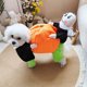 thumbnail image 1 of Disfraz de calabaza para Halloween para perro, 1 of 3
