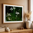 thumbnail image 4 of onion flowers in green garden - Carmel Valley California Photography Flowers Nature Floral Botanical Garden Scenic Woodland Oak Framed Wall Art Print 24 x 36 inches, 4 of 6