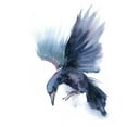 thumbnail image 2 of Shefranov, Olga 26x32 White Modern Wood Framed Museum Art Print Titled - Crow I, 2 of 4