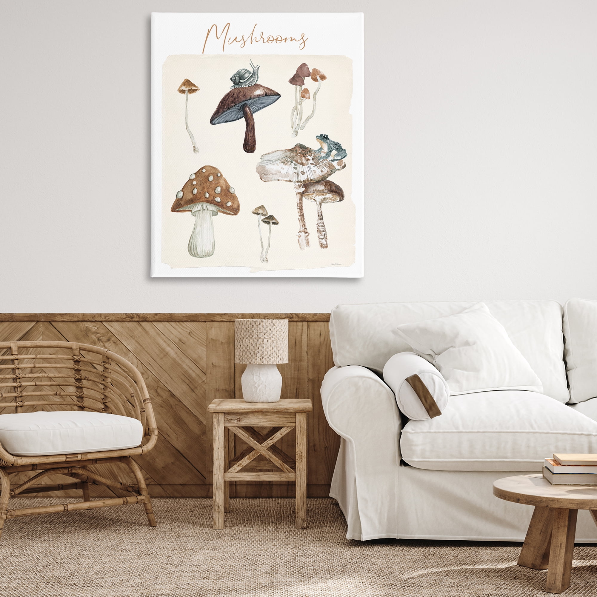 Stupell Industries Assorted Mushrooms Study Botanical & Floral Painting Gallery Wrapped Canvas Art Print Wall Art, 36 x 48