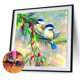 thumbnail image 1 of Cuadros Decorativos Kit de pintura de diamante 5D, mosaico de taladro redondo completo de pájaro de rama DIY (NH1433) Sywqhk Nuevos Originales, 1 of 1