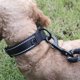 thumbnail image 3 of Collar de perro y funda de cuero para traje Airtage, collar suave de nailon resistente con anillo en D de metal,, 3 of 5