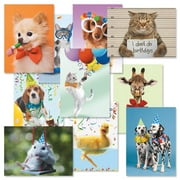 Current Kids Animal Photo Birthday Greeting Cards Value Pack - Set of 20 (10 designs), Large 5" x 7", Happy Birthday Cards with Sentiments Inside