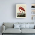 thumbnail image 2 of John James Audubon 'American Flamingo' 1834 Canvas Art, 2 of 4