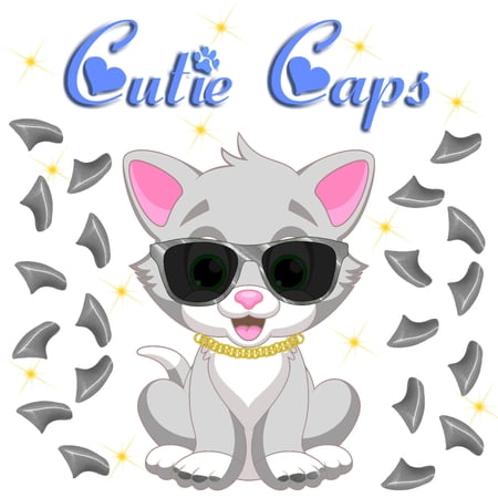 Cutie Caps 40 pack Large Polished Silver Soft Nail Guard for Cat Paws / Claws