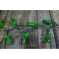 thumbnail image 4 of Outdoor String Lights Chili Pepper Fiesta String Lights Plug-In Indoor Outdoor 35 Green Bulbs, 4 of 4