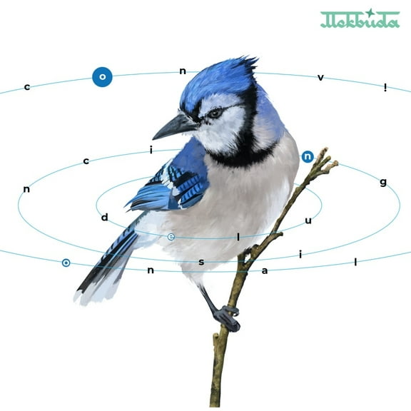 Mekbuda - Convincing Delusional - Music & Performance - Vinyl