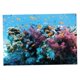thumbnail image 5 of 3D Acuario Paisaje Póster Pecera Vivarium Fondo Sea S Yuyangstore Imagen del fondo del tanque de pescados, 5 of 8