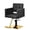 Black Gold, variant on Pink Salon Chair for Hair Stylist, Height Adjustable Hydraulic Barber Chair 360 Degree Swivel, Beauty Spa Styling Hairdressing Braiding Chair for Women
