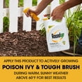 thumbnail image 6 of Roundup Ready-to-Use Poison Ivy Plus Tough Brush Killer Trigger, 1 gal., 6 of 11