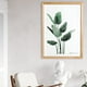 thumbnail image 5 of A4 " fotografía De Pared Exhibición De Carteles Murales Marcos De Cuadros Madera BLESIY Wall Photo Picture Frame, 5 of 8
