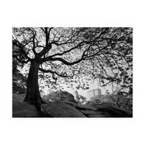 Trademark Fine Art 'Central Park New York New York' Canvas Art by Monte Nagler