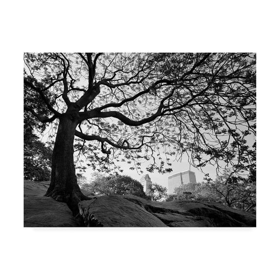 Trademark Fine Art 'Central Park New York New York' Canvas Art by Monte Nagler