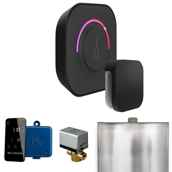 Mr Steam ButlerTouch Steam Shower Ctrl Pkg w/TempoTouch Control and Steamhead in Matte Black