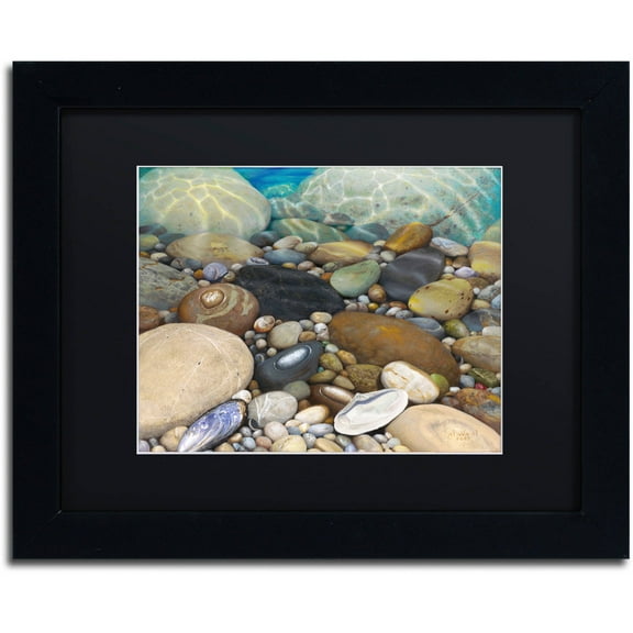 Stephen Stavast 'Shoreline Treasures' Black Matted Framed Art