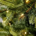 thumbnail image 3 of Evergreen Classics Norway Spruce 9' Prelit LED Artificial Christmas Tree, 3 of 10