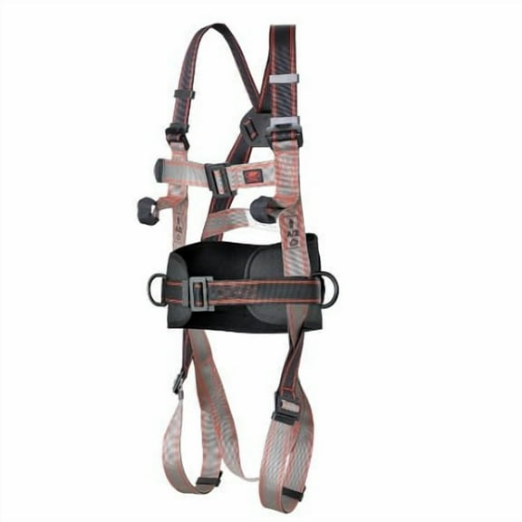 Pioneer 3-Point Harness