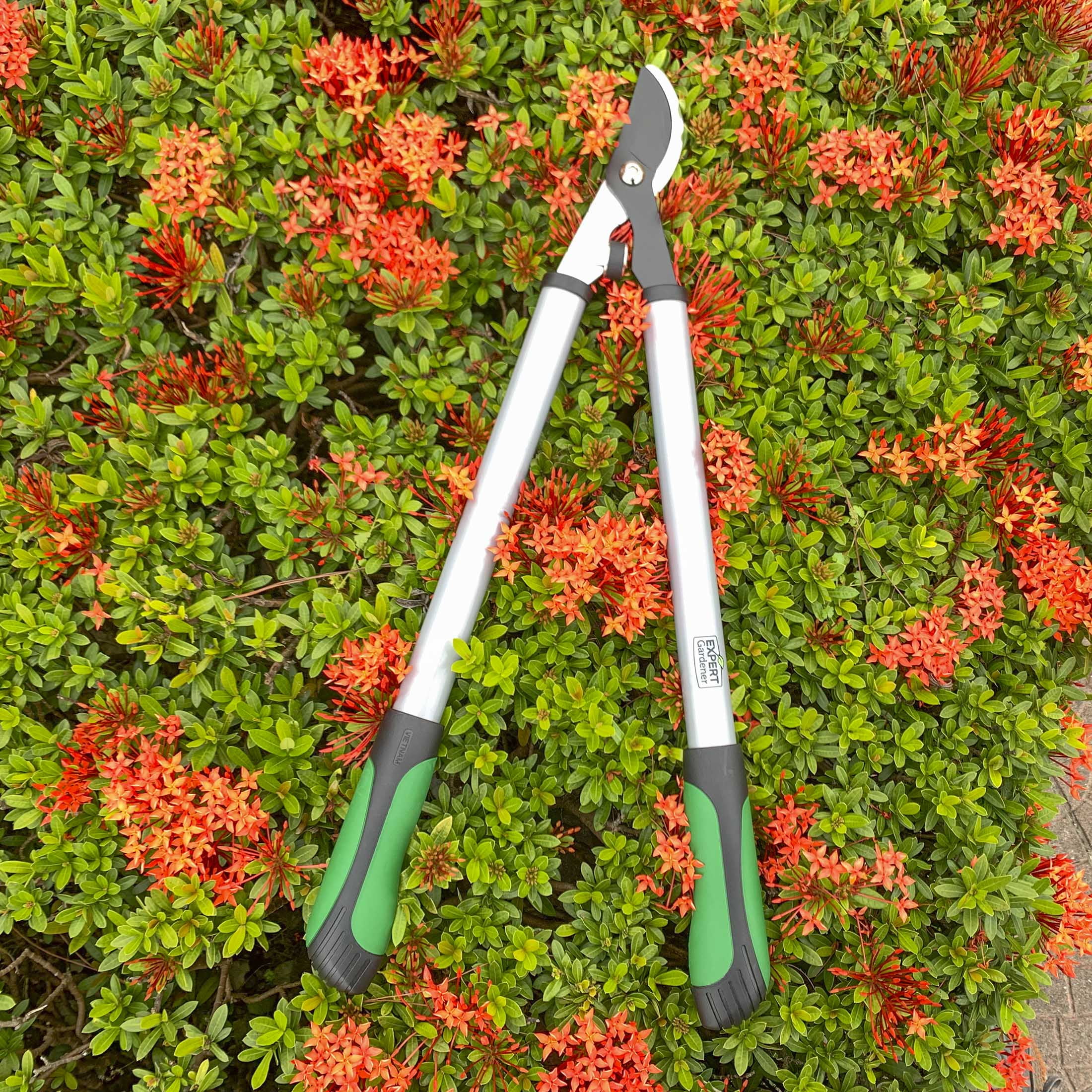 Expert Gardener 24 in Steel Bypass Lopper, 1 in Cutting Capacity, Green and Black