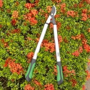 Expert Gardener 24 in Steel Bypass Lopper, 1 in Cutting Capacity, Green and Black