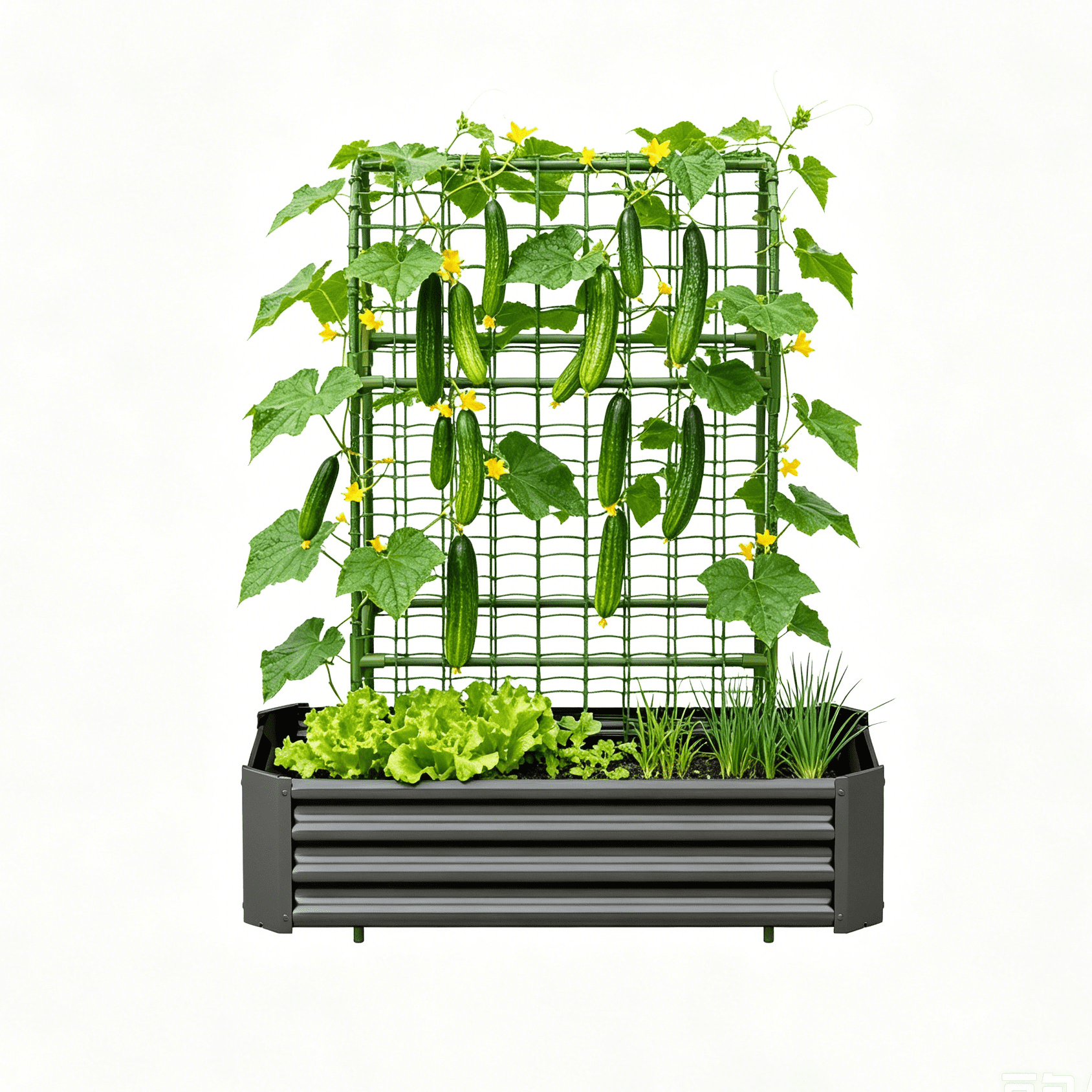 2-in-1 Galvanized Metal Raised Garden Bed with 59" Arch Trellis, 4×2×1 FT Outdoor Planter Box with Climbing Net for Vegetables Fruits Flowers